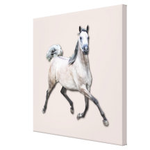 Arabian Horse - Alia Gallery Wrapped Canvas