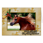 Arabian Horse Blank Christmas Card