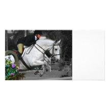 Arabian Horse Jumping Picture Card