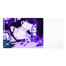 arabian horse jumping purple posterized photo card