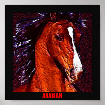 Arabian Horse Poster