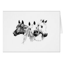 Arabian Horses Greeting Cards