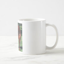 ARABIAN STALLION MUG