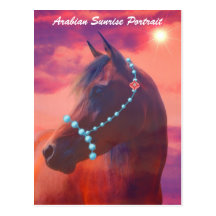 Arabian Sunrise Portrait Postcard