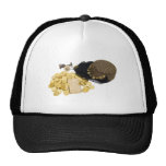 ArabianNightsGold093009 copy Hat