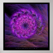 Arachne's Nautilus Print