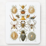 Arachnida (Spiders), Ernst Haeckel Mouse Pads