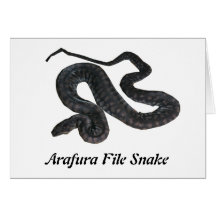 Arafura File Snake Note Card