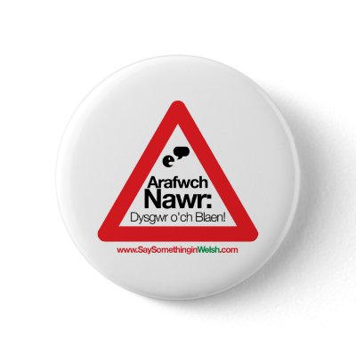 ARAFWCH PIN by SSIWelsh