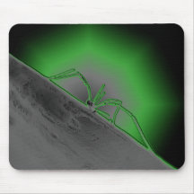 Araignée rayonnante tapis de souris