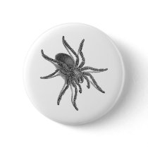 Aranea Avicularia, Black Cuban Spider Pin