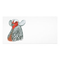 Araucana Hen