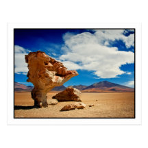 Árbol de Piedra Postcard