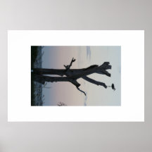 Arbre Affiche