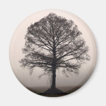 Arbre Aimants Pour Réfrigérateur