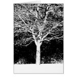 Arbre blanc cartes de vœux
