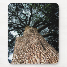 Arbre de cèdre Mousepad Tapis De Souris
