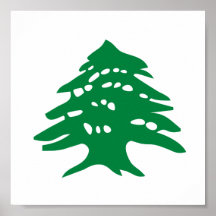 Arbre de cèdre vert du Liban Affiche