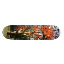 Arbre de sycomore d'automne plateaux de planche à roulettes