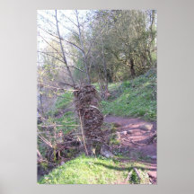 Arbre d'inondation d'Abergavenny [affiche]