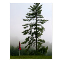 Arbre et rouge carte postale