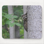 Arbre Hugger Tapis De Souris
