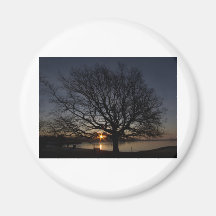 Arbre Magnets Pour Réfrigérateur