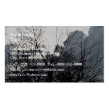 Arbre orageux contre le ciel nuageux carte de visite
