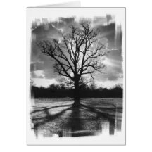 Arbre stérile de branches carte de vœux