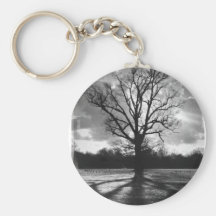 Arbre stérile de branches porte-clés