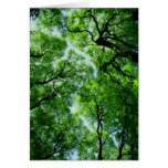 Arbres Cartes De Vœux