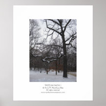 Arbres dans la neige I Posters
