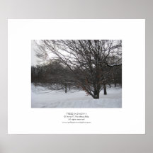 Arbres dans la neige II Posters