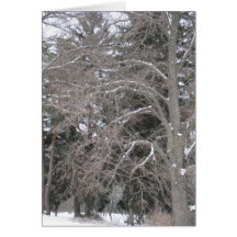 Arbres dans la neige III Carte De Vœux