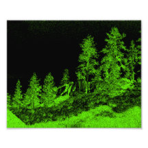 Arbres dans l'obscurité impressions photographiques