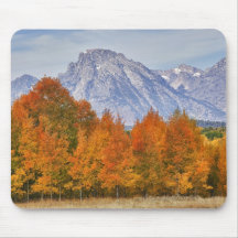 Arbres d'Aspen avec la gamme de montagne de Teton  Tapis De Souris