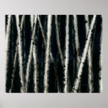 Arbres de bouleau à la copie de beaux-arts de nuit affiche