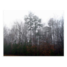 Arbres en brouillard cartes postales