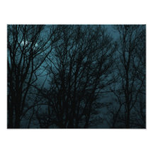 Arbres foncés photos sur toile