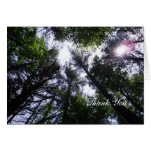 Arbres forestiers et soleil grands carte de vœux