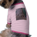 Arbres Giants de séquoias T-shirt Pour Toutou