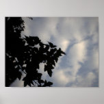 Arbres jouant avec les nuages affiche
