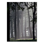 Arbres, parc de Tatton, Cheshire, Angleterre Carte Postale