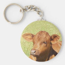 arby key chains