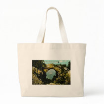 Arch Rock Mackinac Island, Michigan 1911 Tote Bag