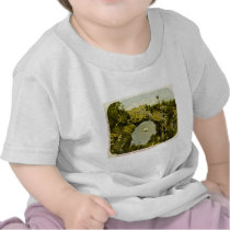 Arch Rock, Mackinac Island Vintage Shirt