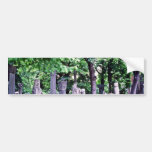 Archaeological Gardens, Istanbul Bumper Stickers