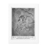 Archaeopteryx art postcard