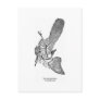 Archaeopteryx art postcard