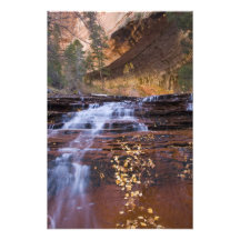 Archangel cascades in the Left Fork of the Photo Art